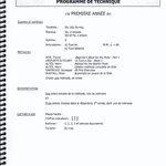 Programme d'études - flûte traversière