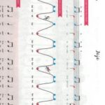 Laberge, Jocelyne - J'apprends la musique et ça m'amuse tome 1