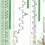 Laberge, Jocelyne - J'apprends la musique et ça m'amuse tome 2