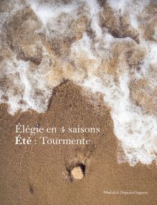 Dupuis-Gagnon, Mathilde - Été : Tourmente