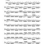 Bach, Johann Sebastian - Six Suites for Solo Cello