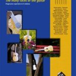 La guitare dans tous ses états vol. 4