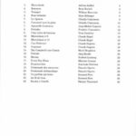 The Many Faces of the Guitar vol. 4