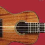 Lil' Rev - Hal Leonard Ukulele Method Book 2