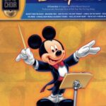 Disney Hits volume 8