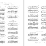 Schubert, Franz - Sonates pour piano, vol. I