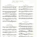 Bach, Johann Sebastian - Little Preludes and Fughettas