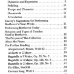 Van Beethoven, Ludwig - At the Piano with Beethoven